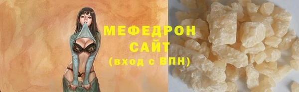 мдпв Богородицк