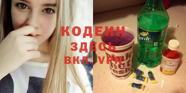 мдпв Богородицк