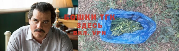 мдпв Богородицк
