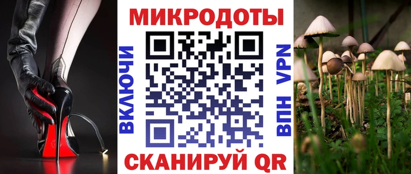 Галлюциногенные грибы GOLDEN TEACHER  Купить где  Луза 
